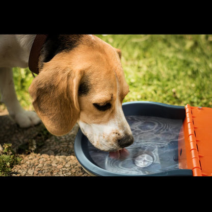 Bebedor + Filtro pure pet purificador de água cão gato