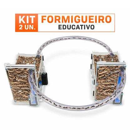 Kit 2 Un Formigueiro Educativo Formiga Ninho Criação Brinquedo Educativo